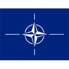 NATO Flag
